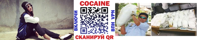цена наркотик  Сортавала  COCAIN FishScale 