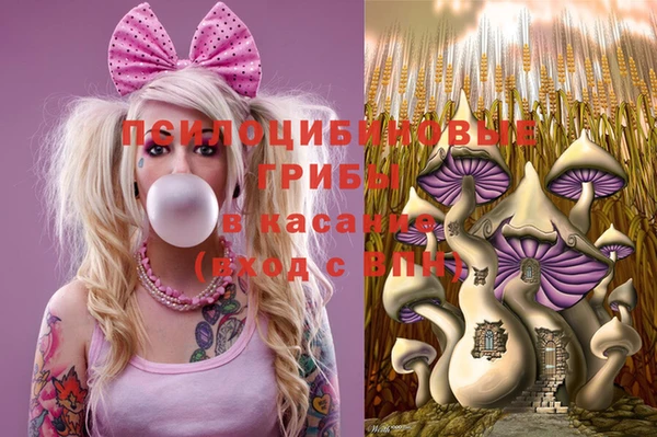 ешки Алзамай